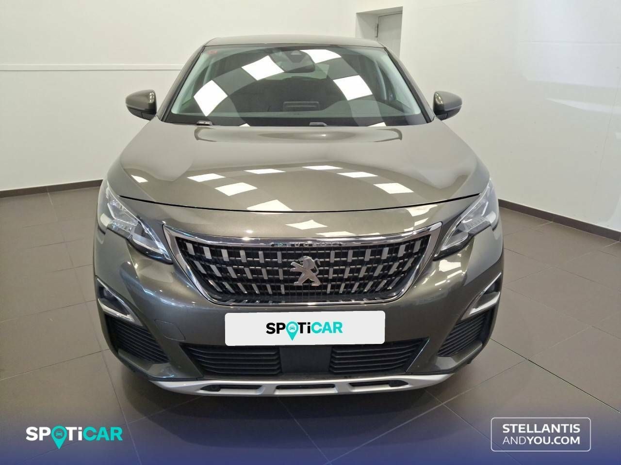 peugeot 3008 2019 / foto grande (2)