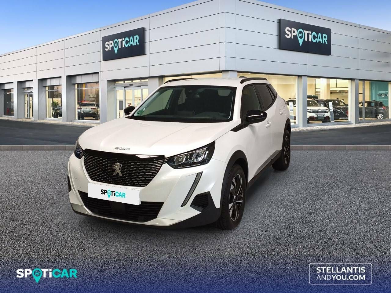 peugeot 2008 2021 /