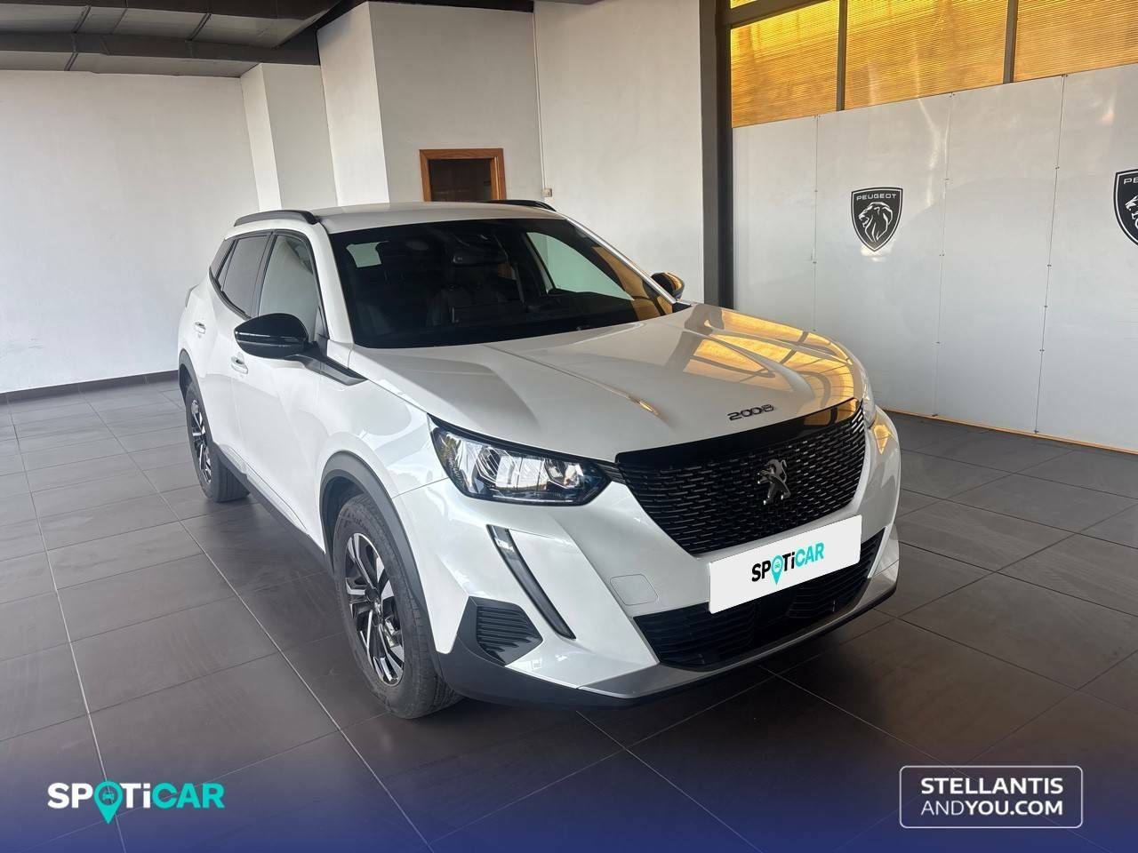 peugeot 2008 2023 / foto grande (3)