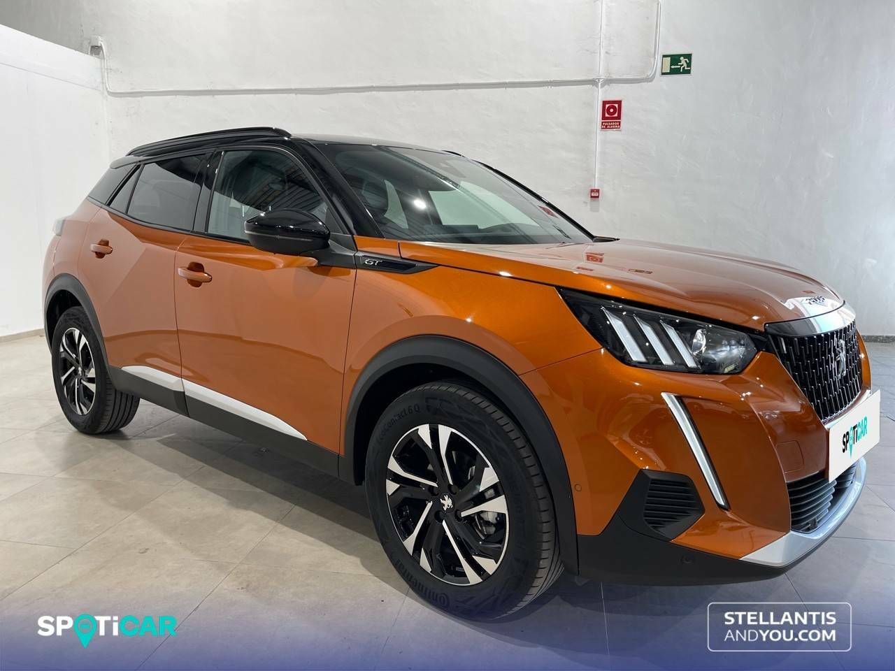 peugeot 2008 2023 / foto grande (3)