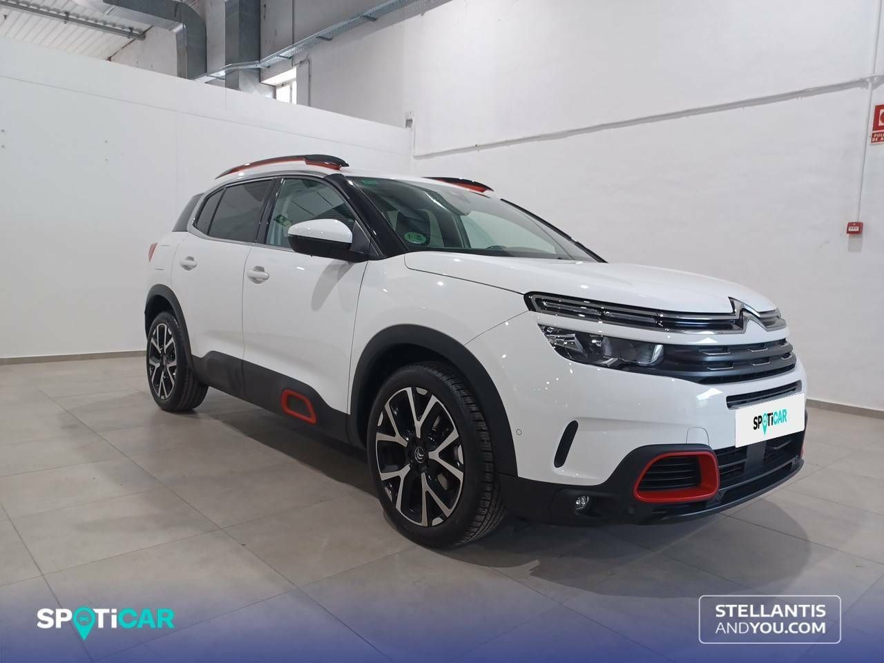 citroën c5 aircross 2019 / foto grande (3)