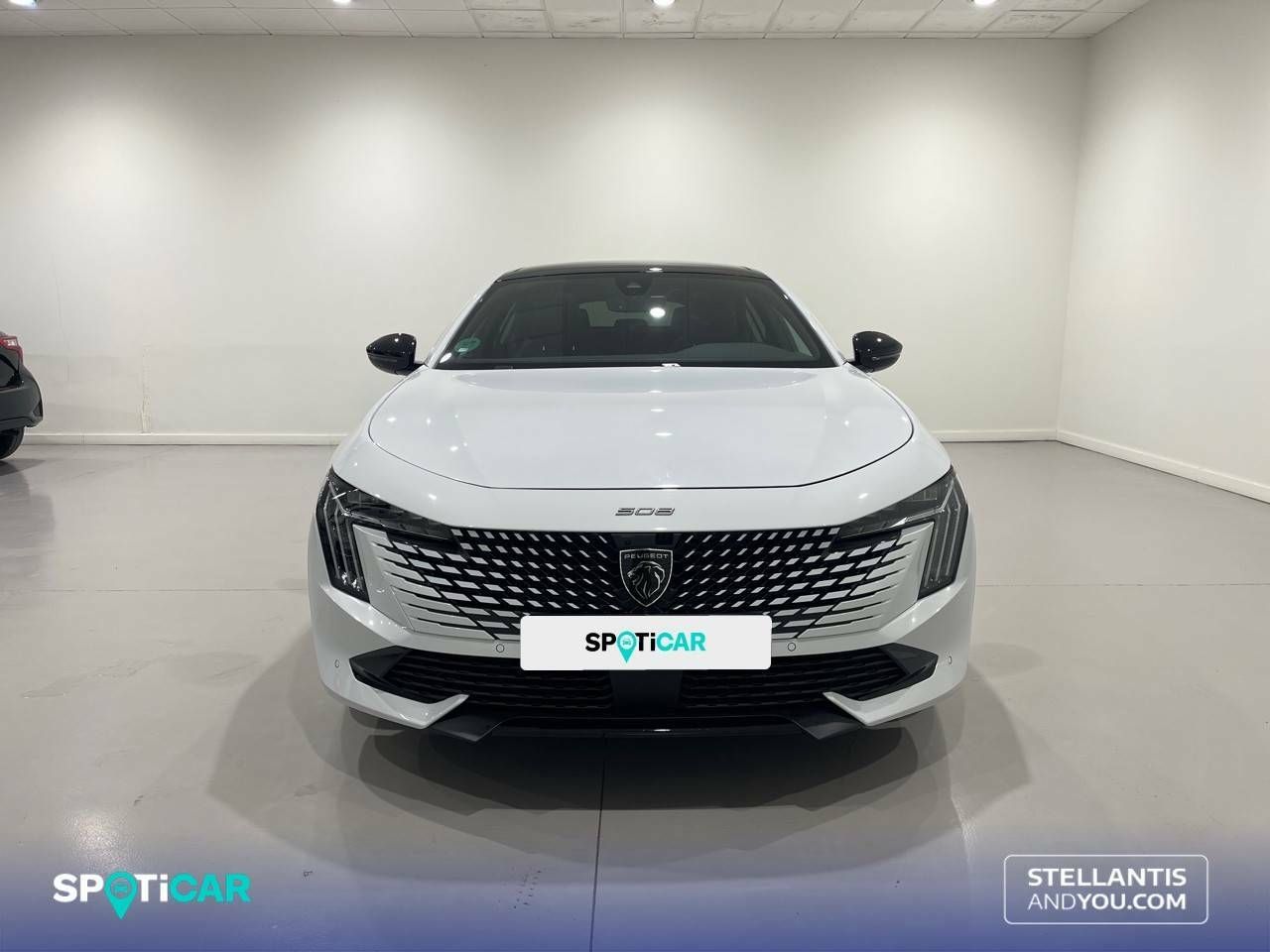 peugeot 508 2024 / foto grande (2)