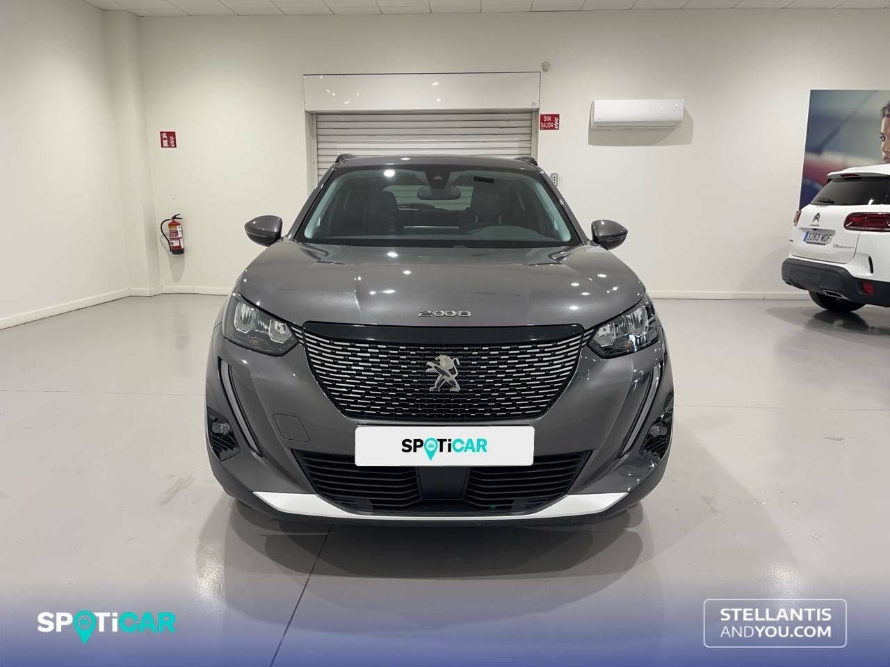 peugeot 2008 2021 / foto grande (2)
