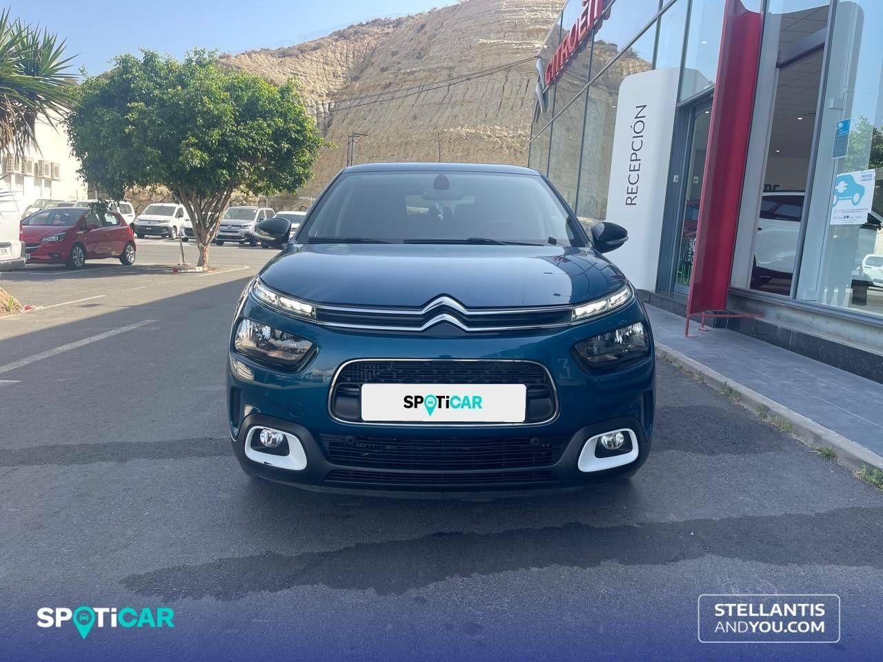 citroën c4 cactus 2019 / foto grande (2)