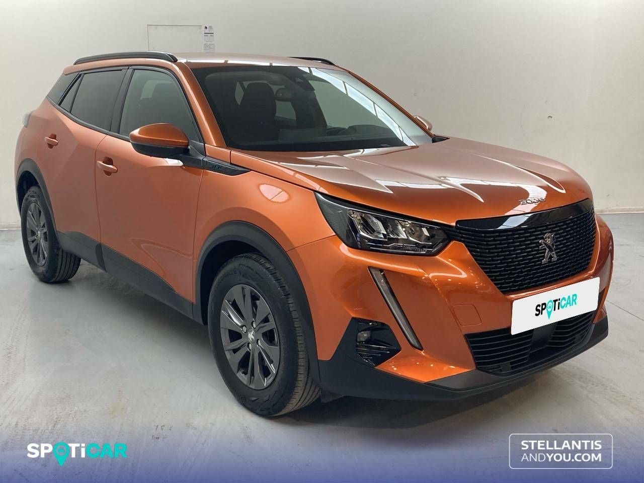 peugeot 2008 2021 / foto grande (3)