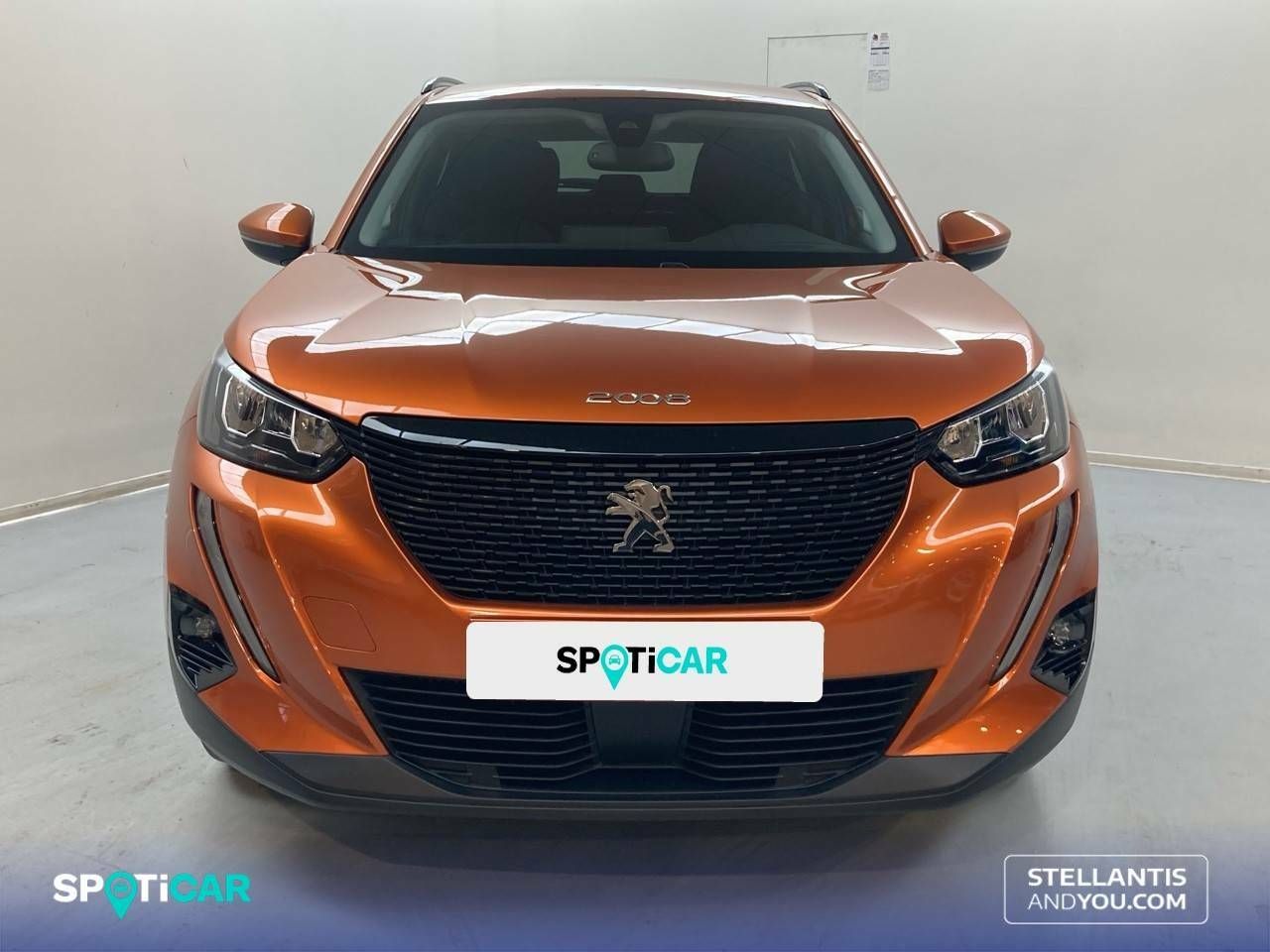 peugeot 2008 2021 / foto grande (2)