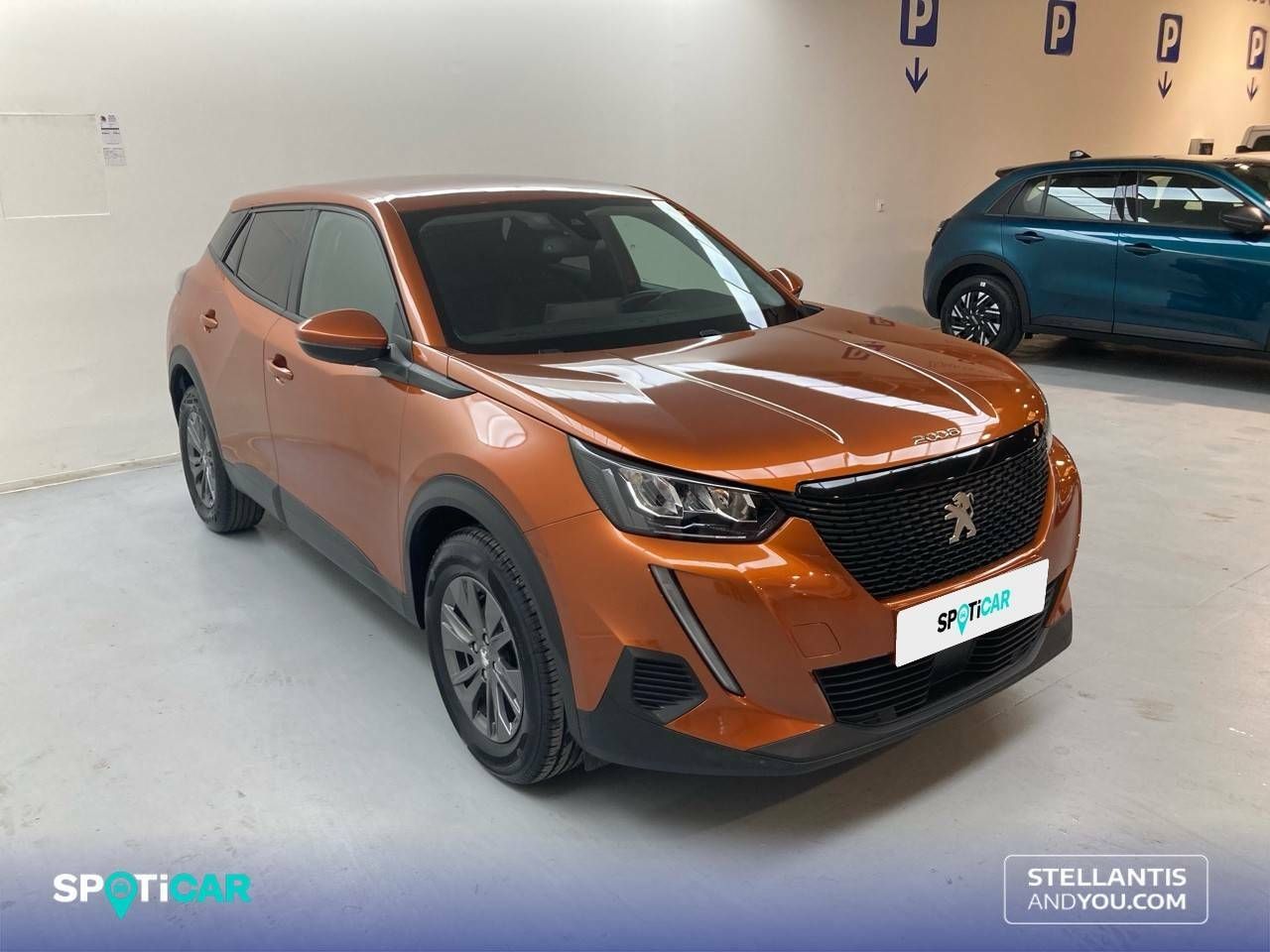 peugeot 2008 2021 / foto grande (3)