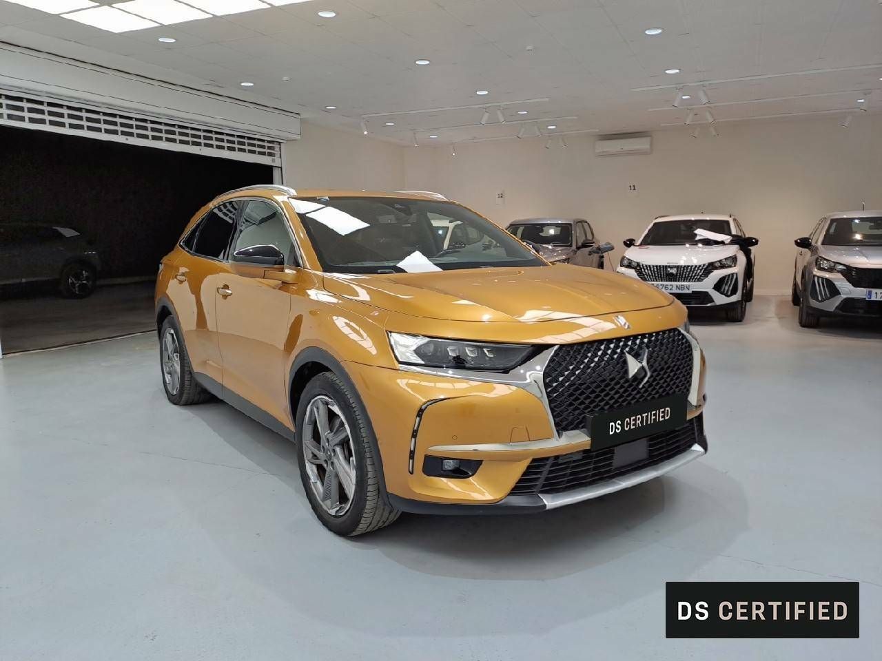 ds automobiles ds 7 2022 / foto grande (3)