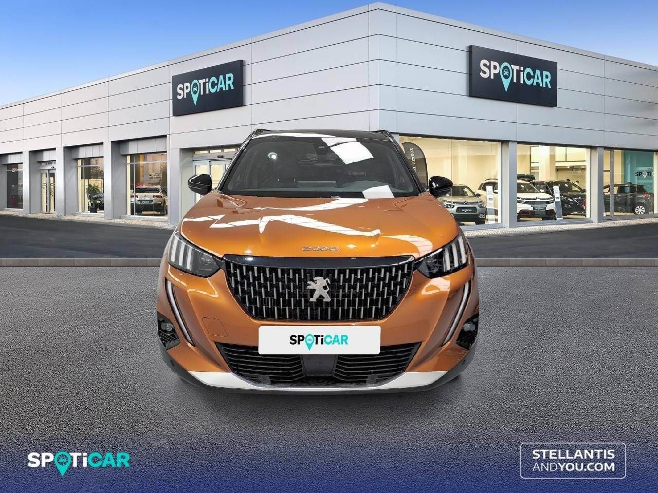 peugeot 2008 2021 / foto grande (2)