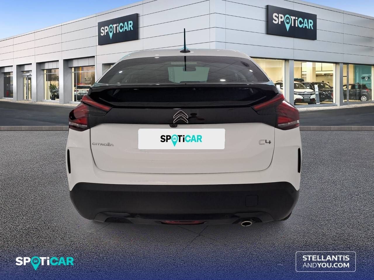bg