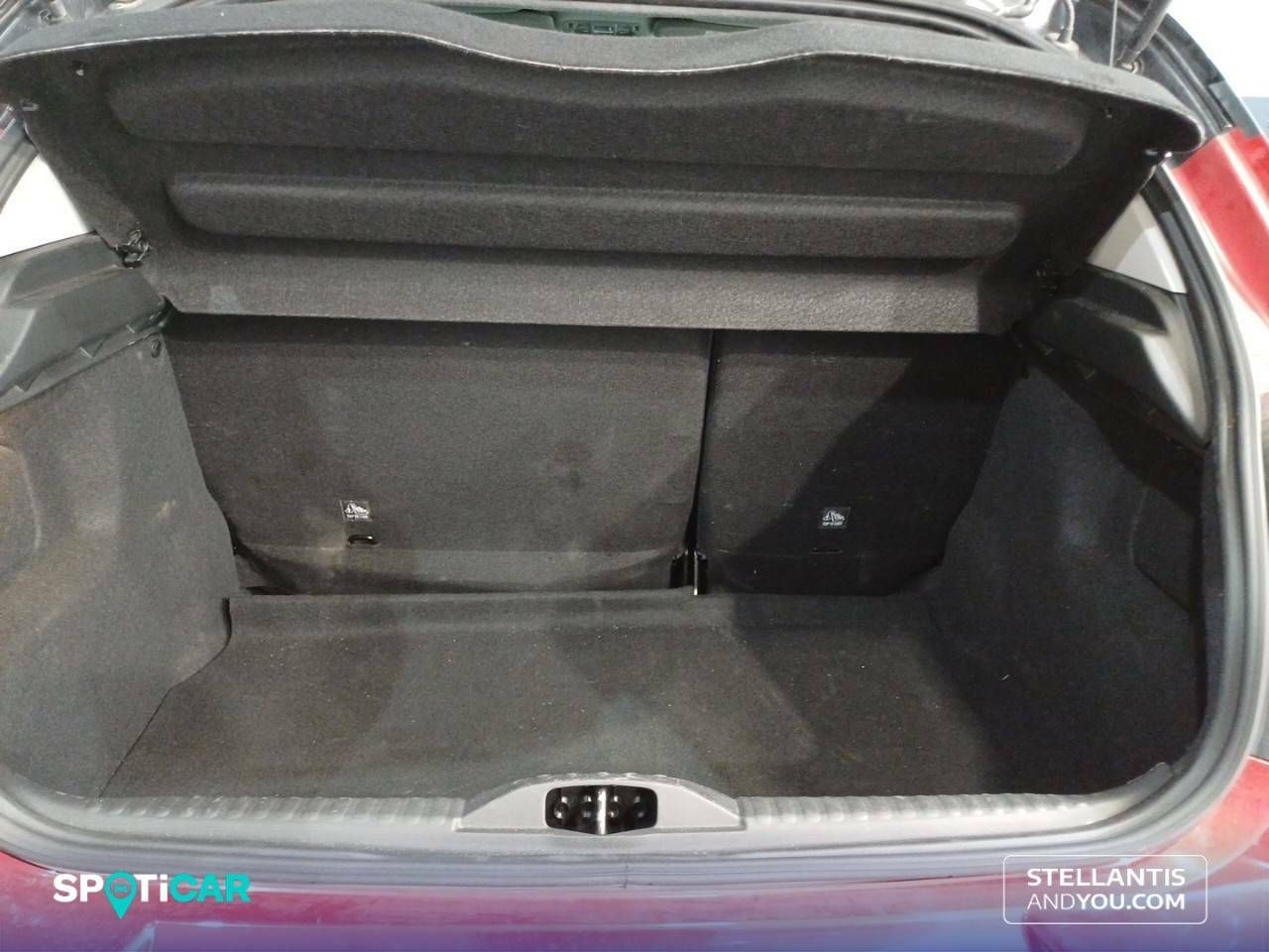 Citroën C3 BlueHDi 75KW (100CV) S&S Shine - foto 6