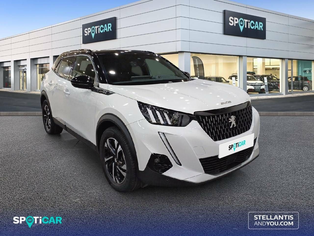 peugeot 2008 2020 / foto grande (3)