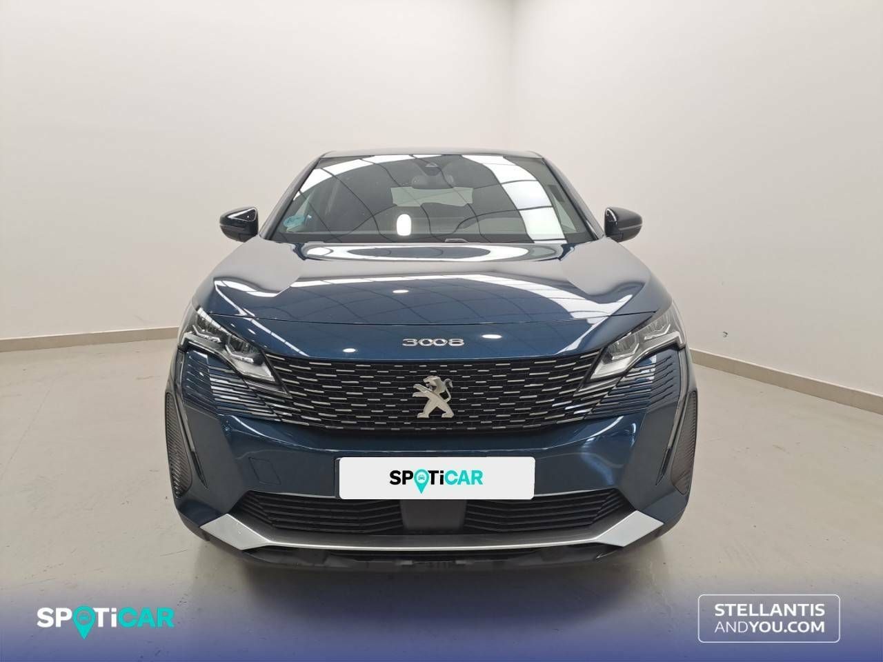 peugeot 3008 2023 / foto grande (2)
