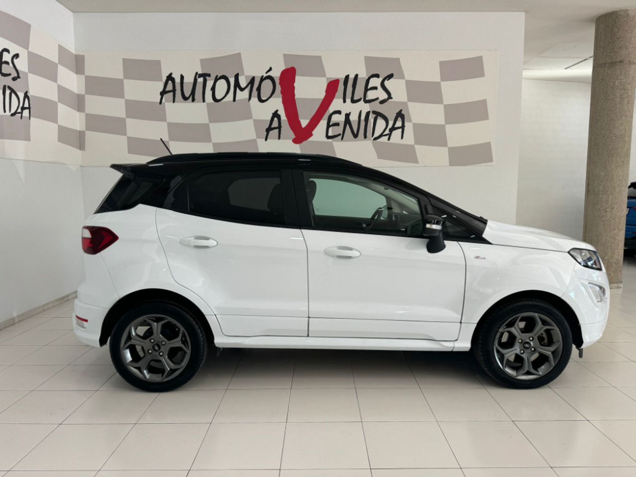 ford ecosport 2019 / foto grande (2)