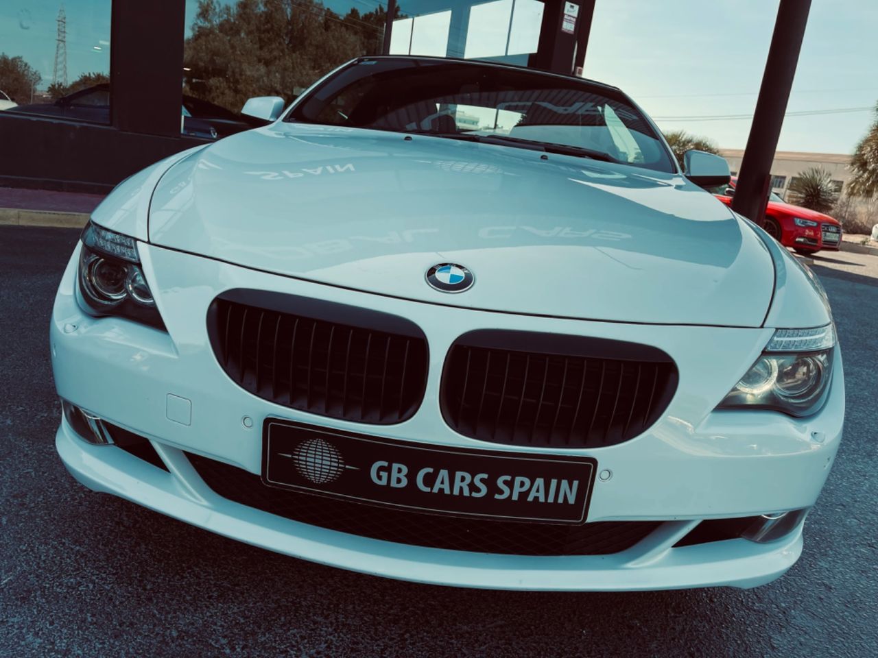 bmw serie 6 2010 / foto grande (3)