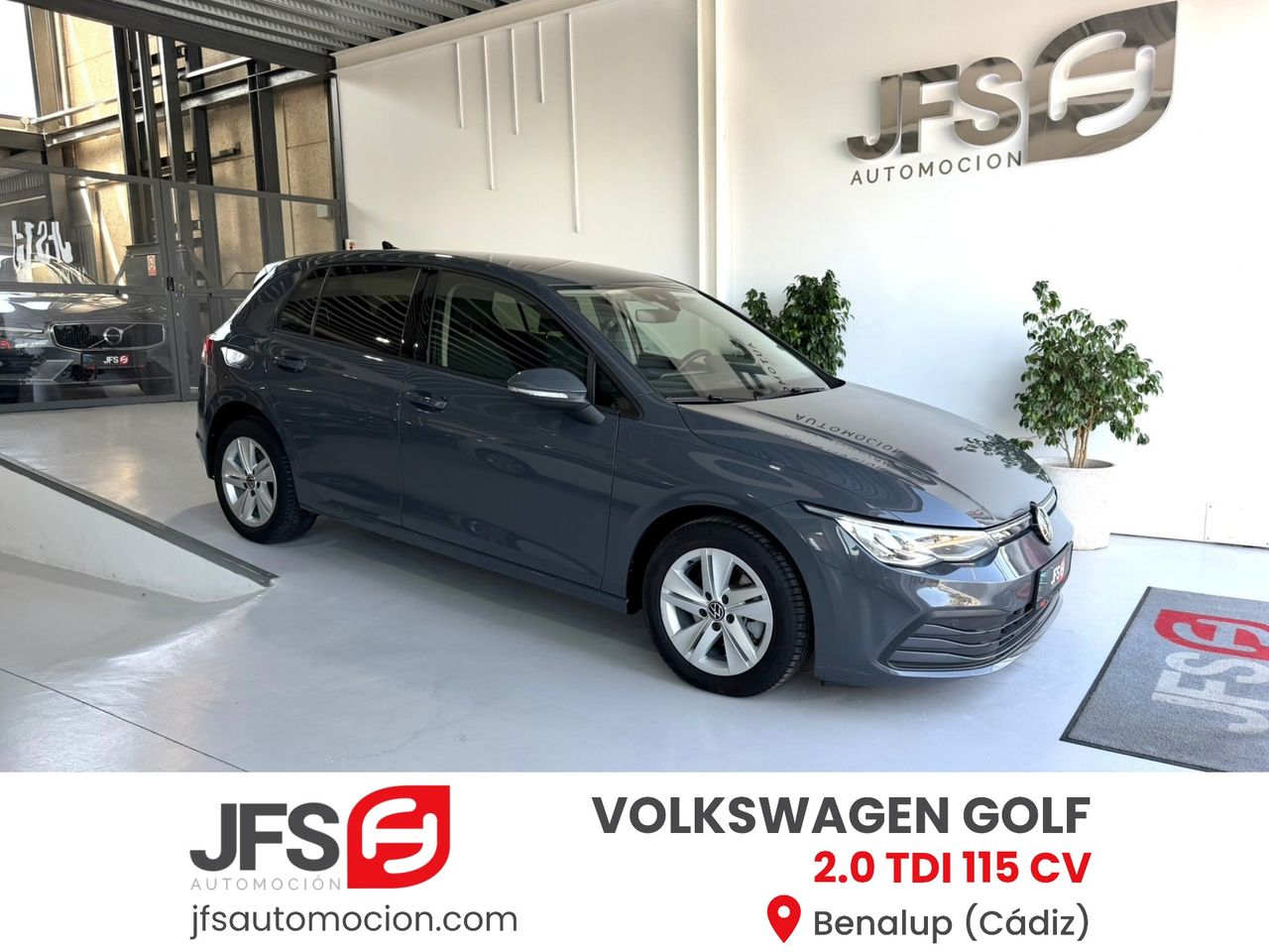 Volkswagen Golf 2.0 TDI 115 CV