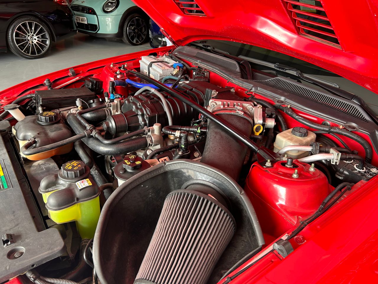 Ford Mustang Cabrio Shelby supercharger  - Foto 22