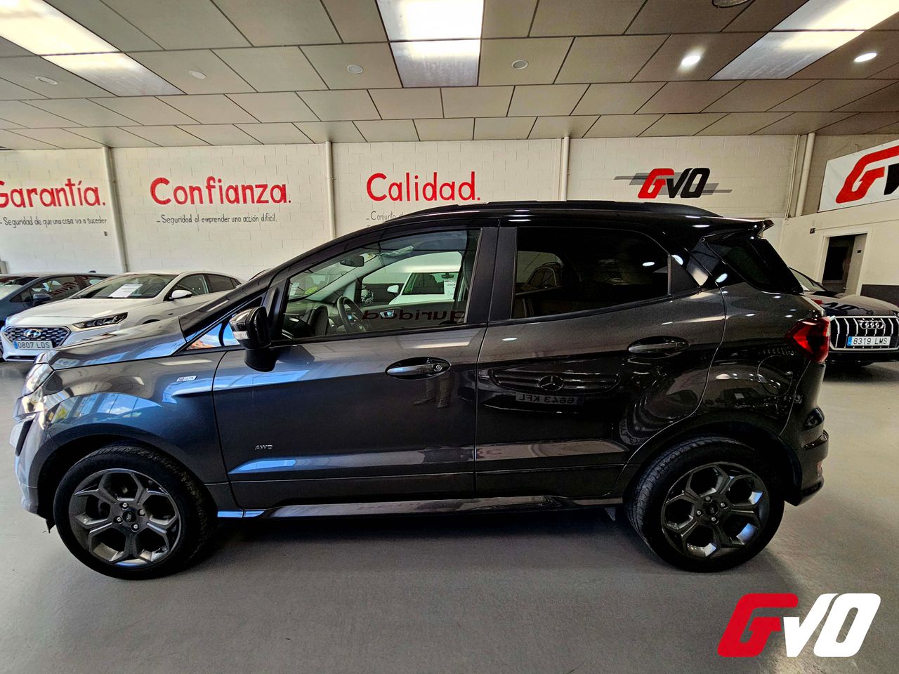 ford ecosport 2019 / foto grande (2)