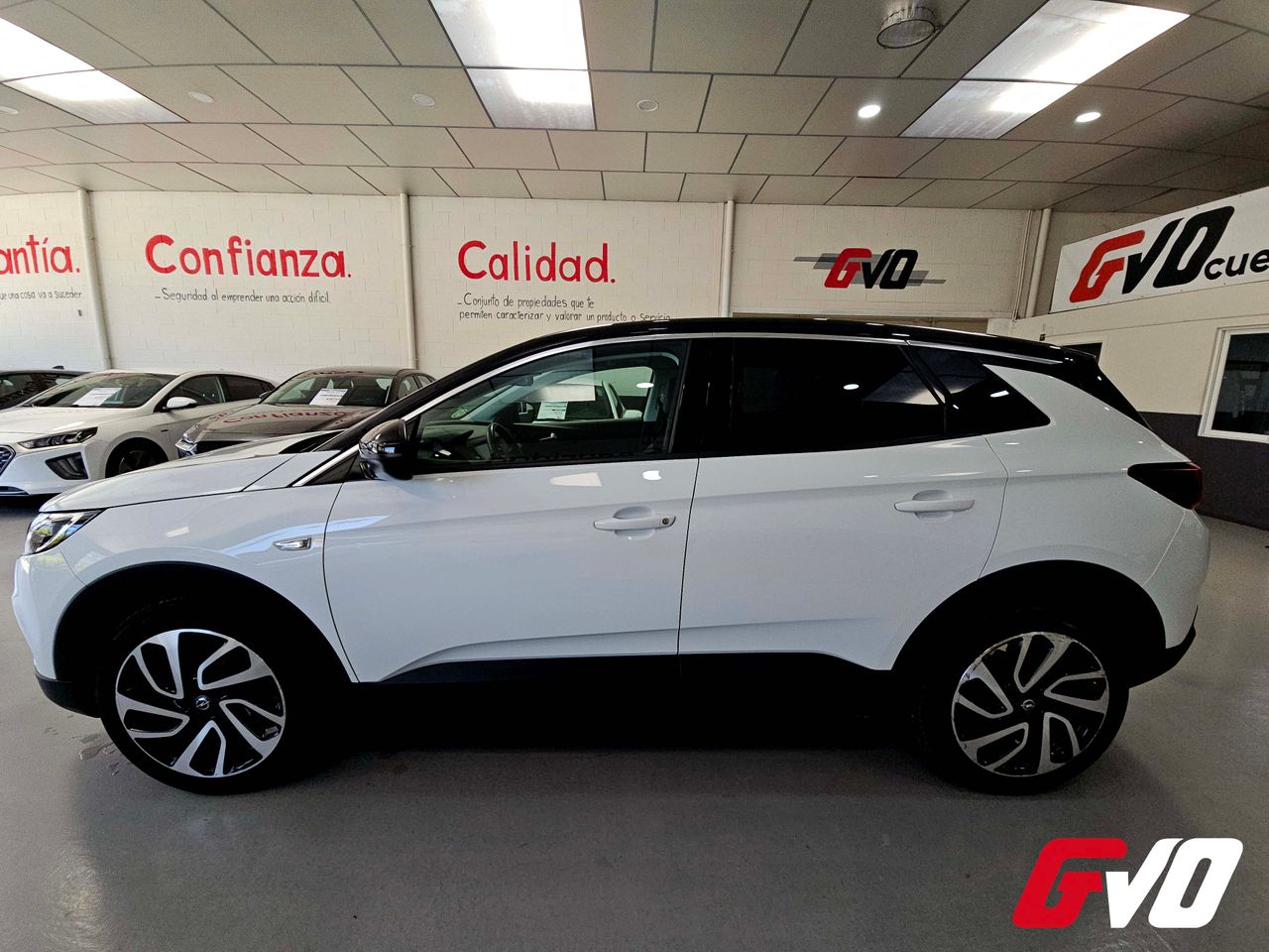 opel grandland x 2019 / foto grande (2)