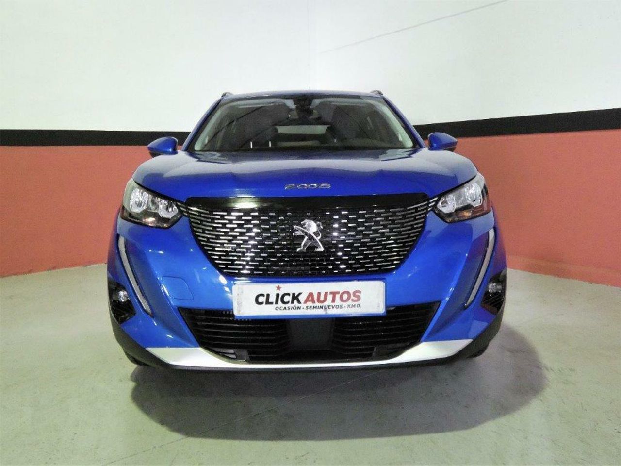 peugeot 2008 2021 / foto grande (2)