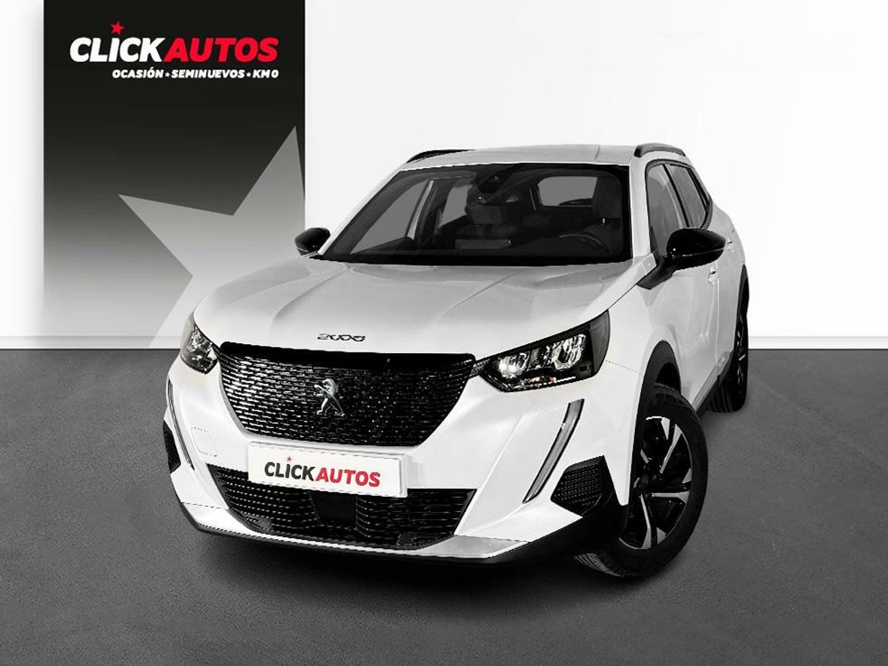 peugeot 2008 2023 /