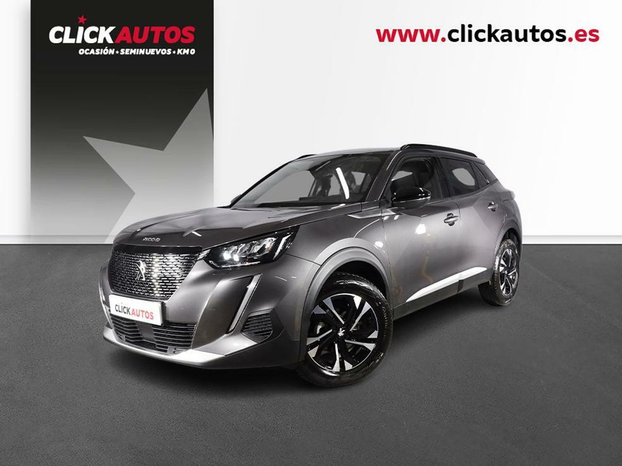 peugeot 2008 2023 /