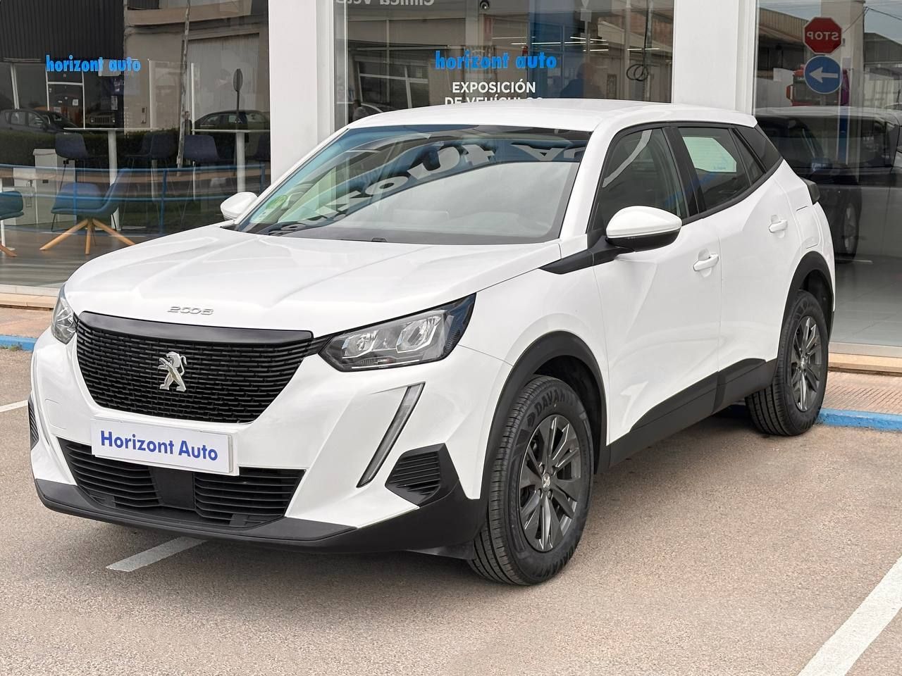 peugeot 2008 2021 / foto grande (3)
