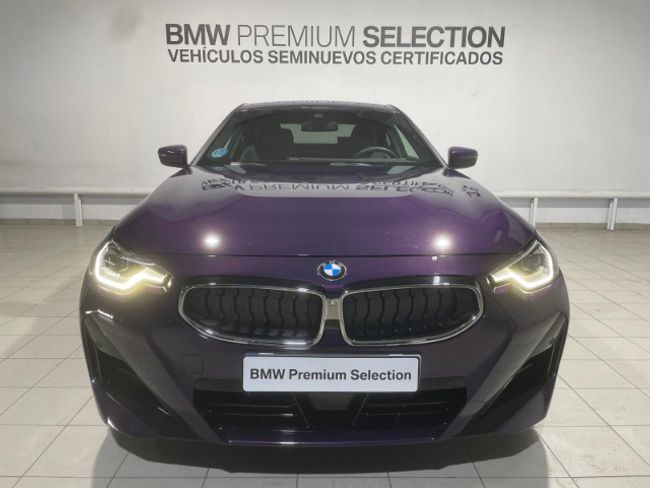 BMW Serie 2 220d coupe 140 kw (190 cv)