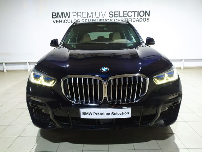 BMW X5 xdrive30d 195 kw (265 cv)