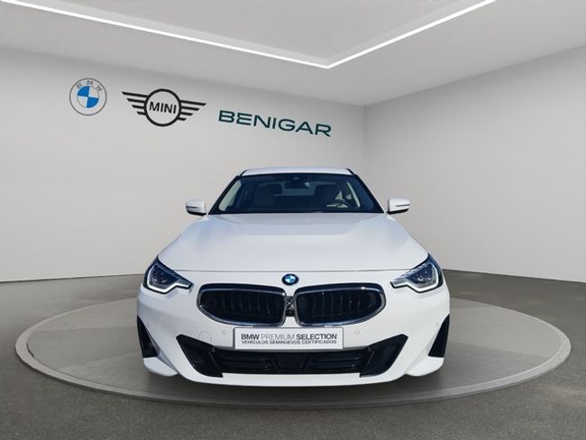 BMW Serie 2 220d coupe 140 kw (190 cv)