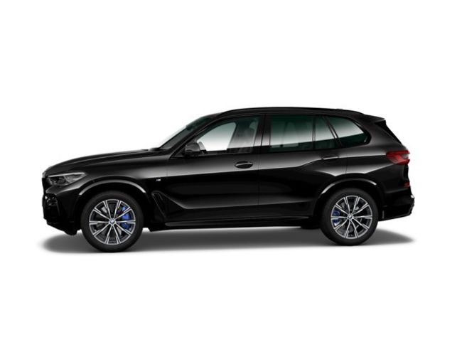 BMW X5 xdrive25d 170 kw (231 cv)