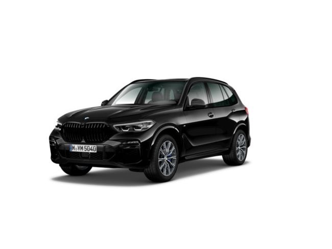 BMW X5 xdrive25d 170 kw (231 cv)