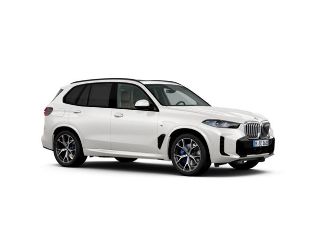 BMW X5 xdrive40d xline 259 kw (352 cv)