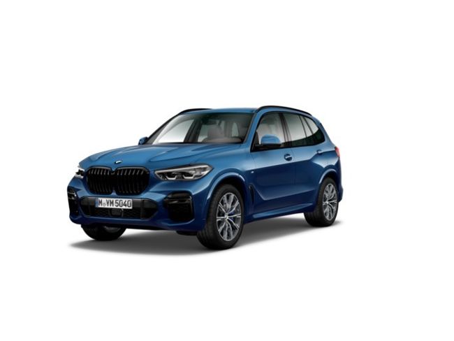 BMW X5 xdrive30d 210 kw (286 cv)