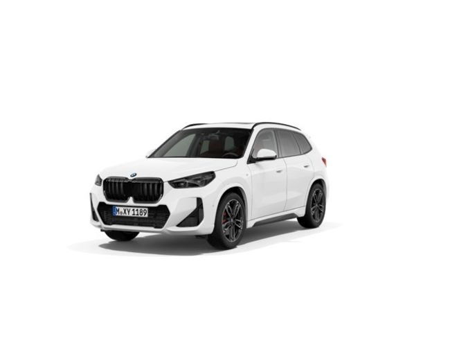 BMW X1 sdrive20d 120 kw (163 cv)