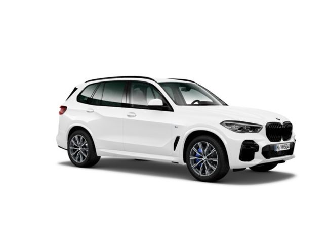 BMW X5 xdrive30d 210 kw (286 cv)