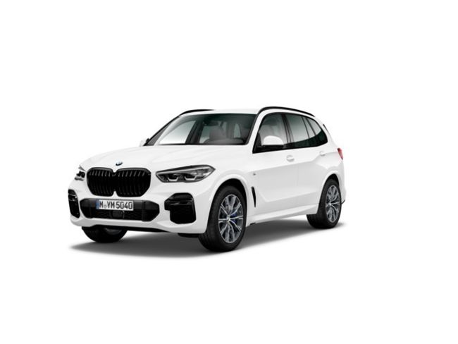 BMW X5 xdrive30d 210 kw (286 cv)