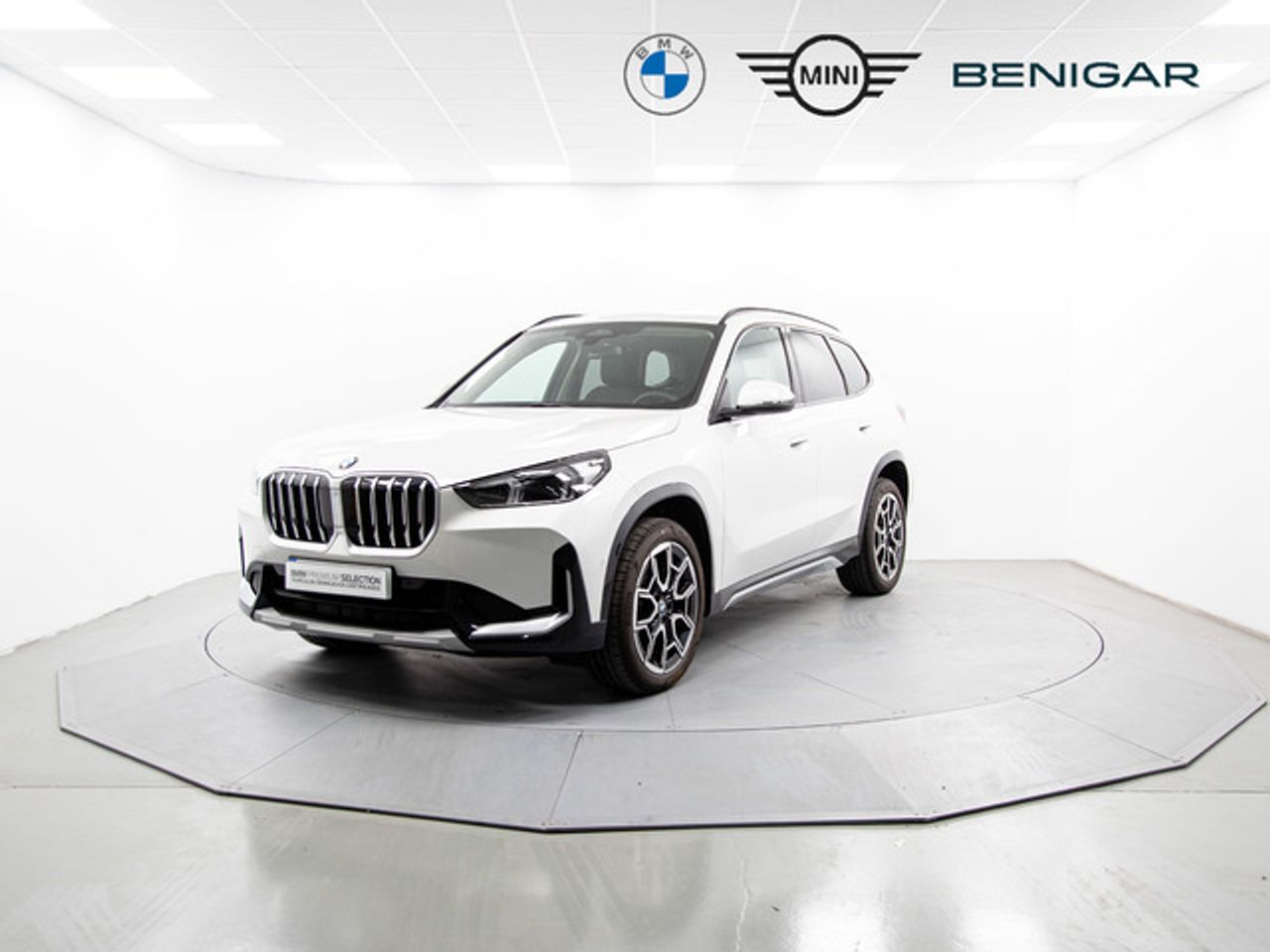 BMW X1 sdrive20d 120 kw (163 cv)