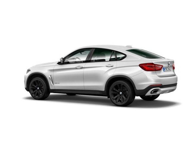 BMW X6 xdrive40d 230 kw (313 cv)