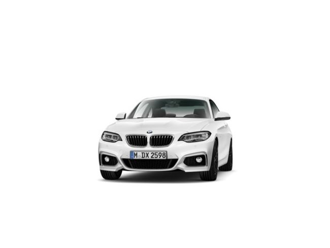 BMW Serie 2 218d coupe 110 kw (150 cv)