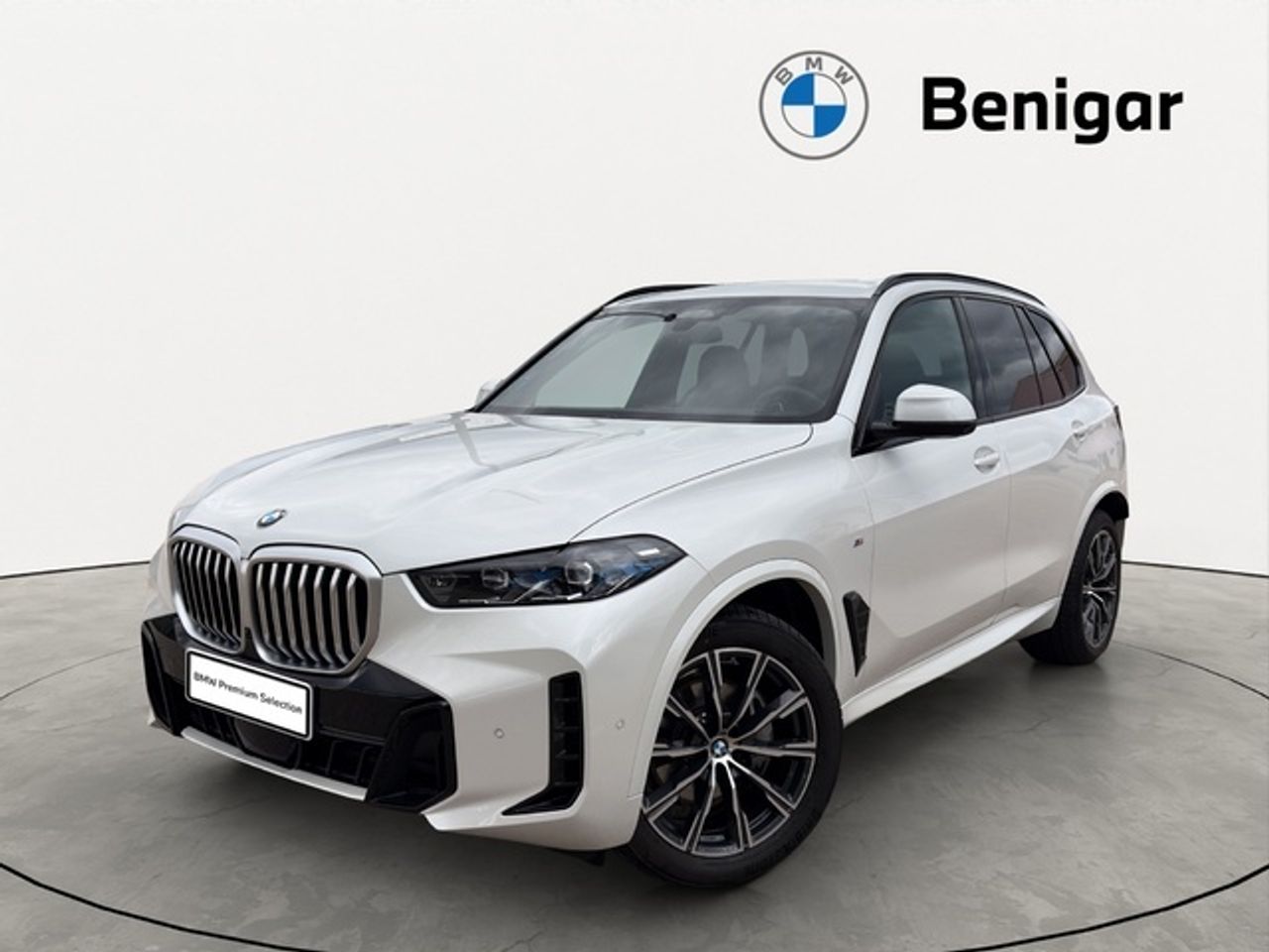 BMW X5 xdrive30d 219 kw (298 cv)