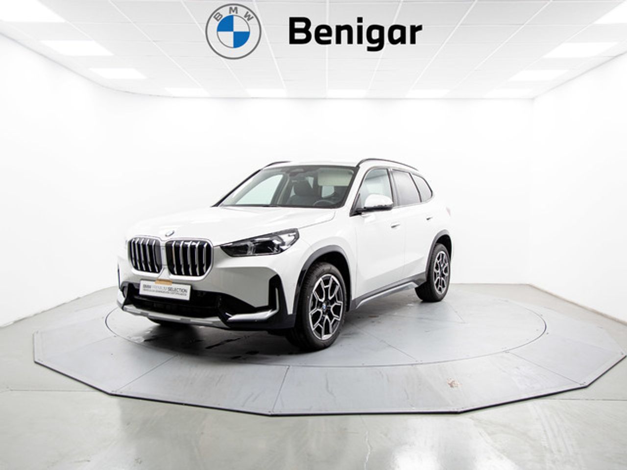 BMW X1 sdrive20d 120 kw (163 cv)