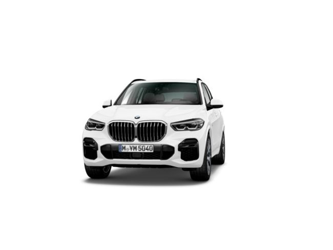 BMW X5 xdrive30d 210 kw (286 cv)