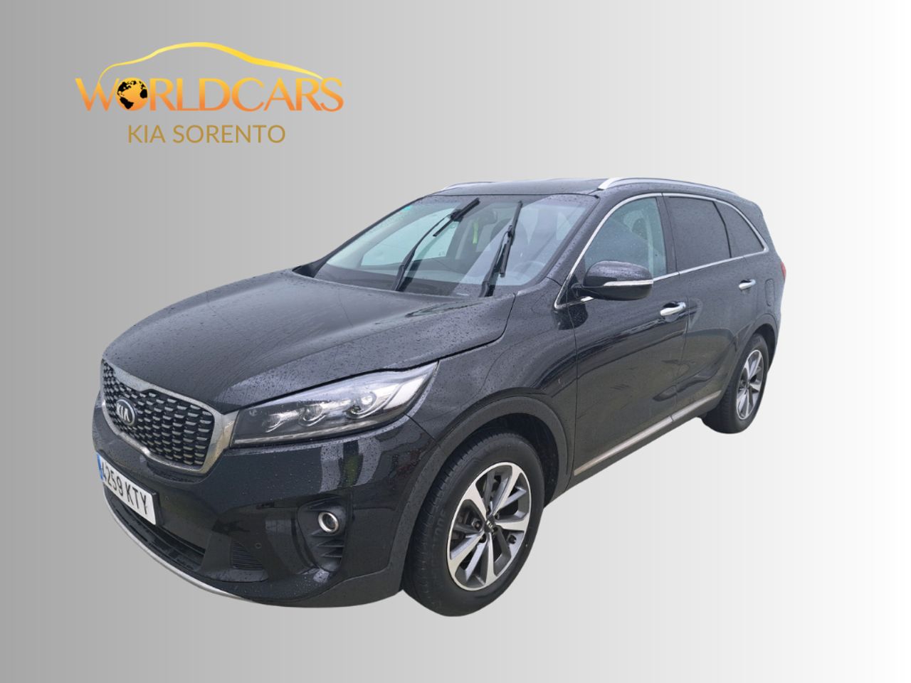 Raton negro  de segunda mano - kia sorento 2019 /