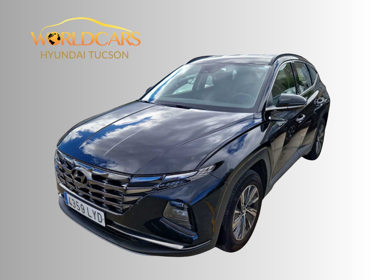 Raton negro  de segunda mano - hyundai tucson 2022 /