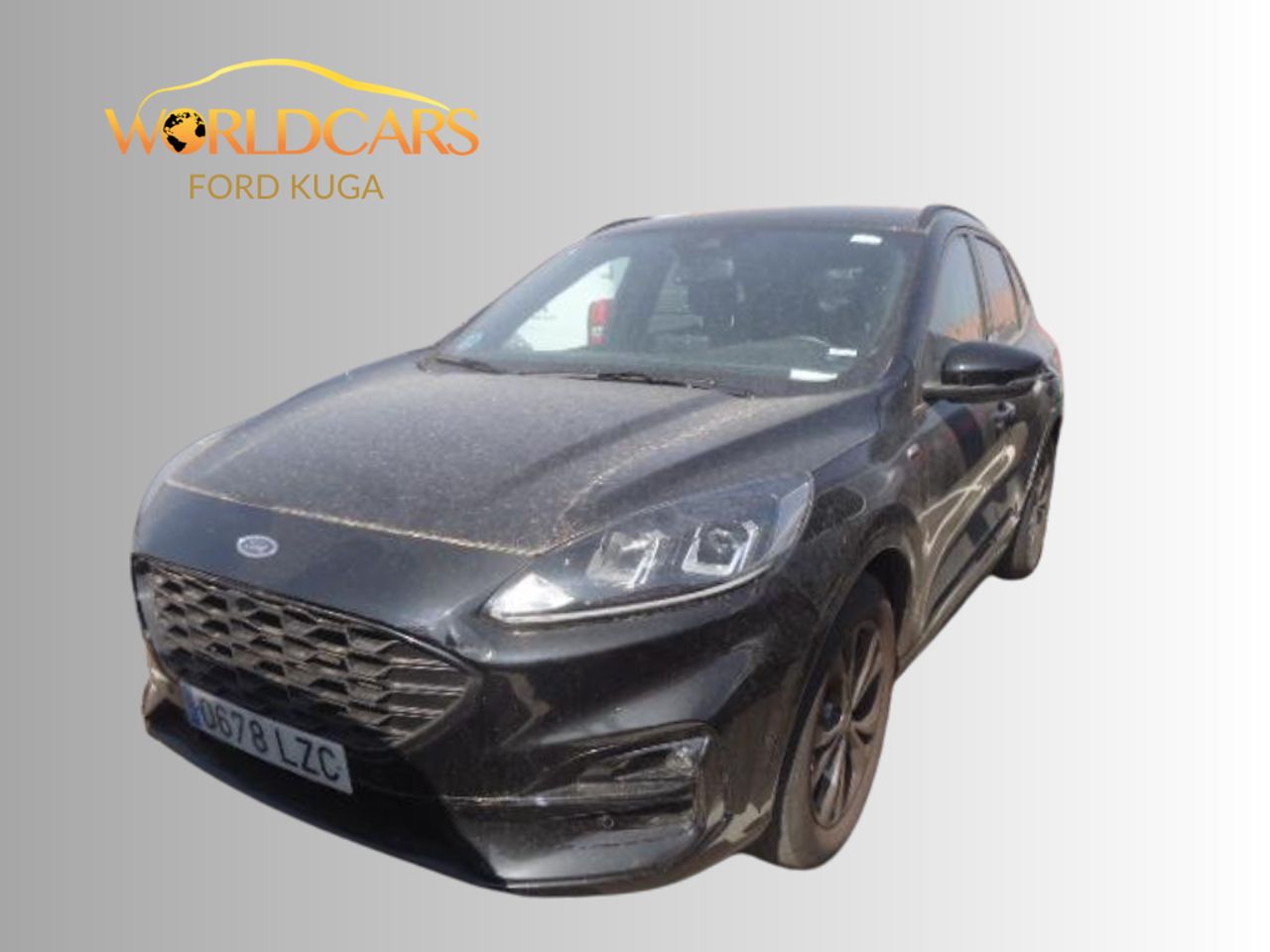 Raton negro  de segunda mano - ford kuga 2022 /