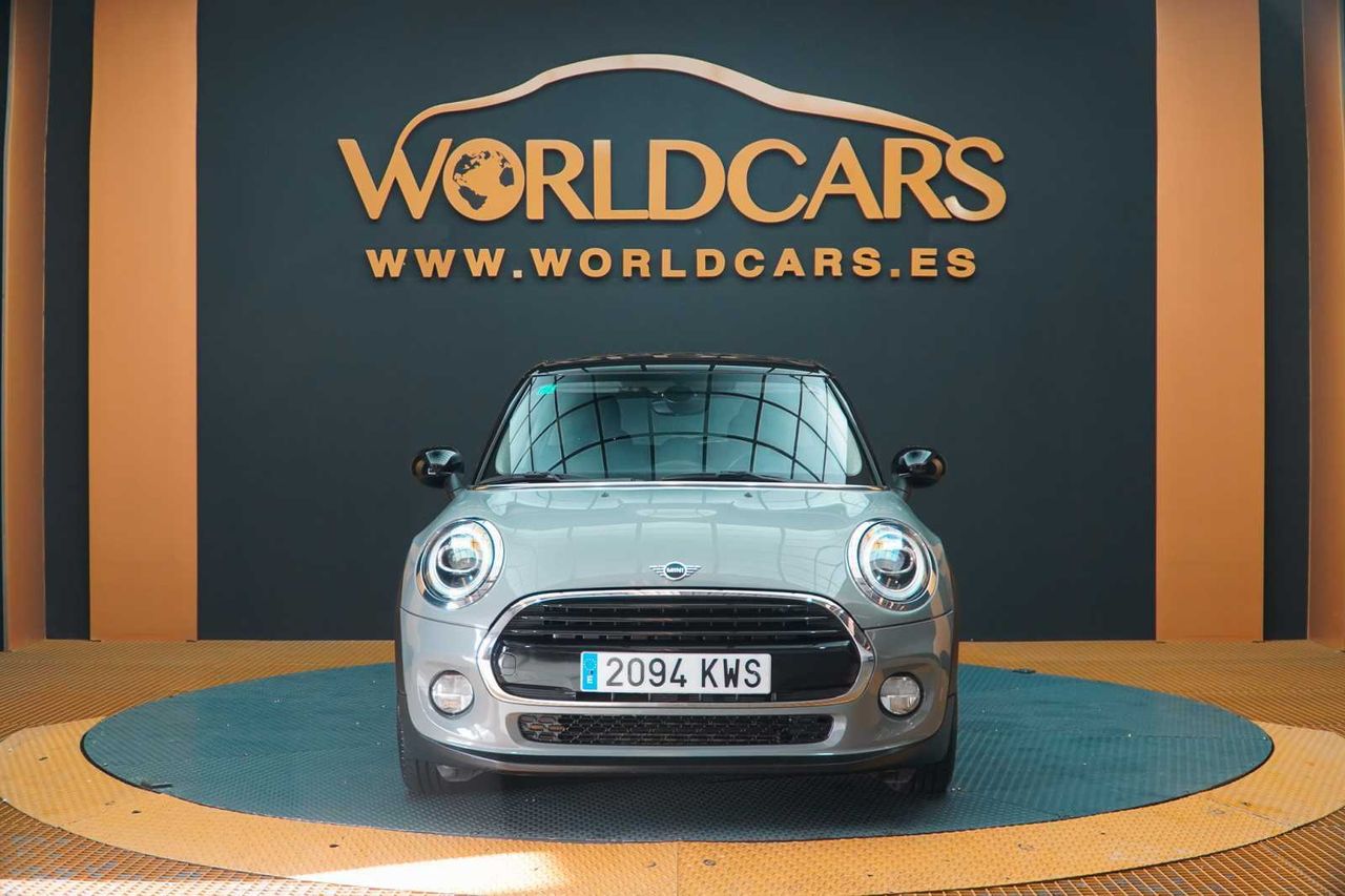 mini mini 2019 / foto grande (2)