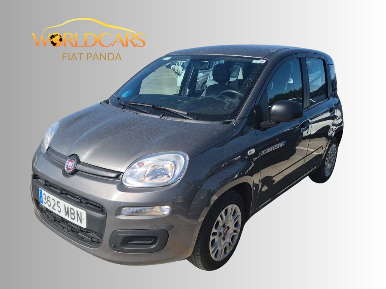 Foto fiat panda 2022 /