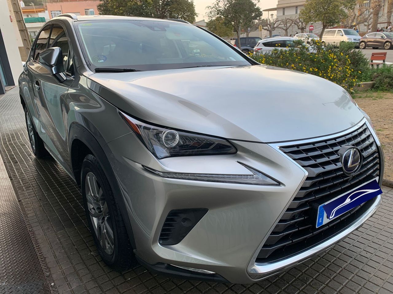 lexus nx 2020 / foto grande (3)