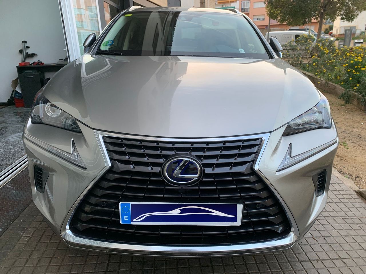 lexus nx 2020 / foto grande (2)
